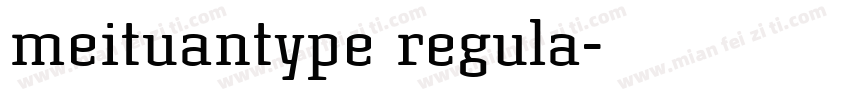 meituantype regula字体转换